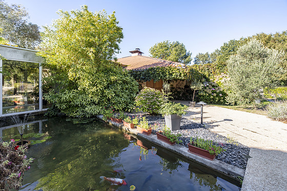 Un repas pour 2 aux Jardins du Lac à Trizay (17)