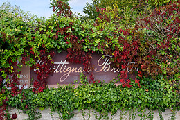 Domaine de Quittignan Brillette