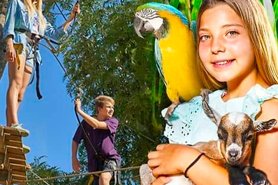 KRAZY WORLD - photo 0