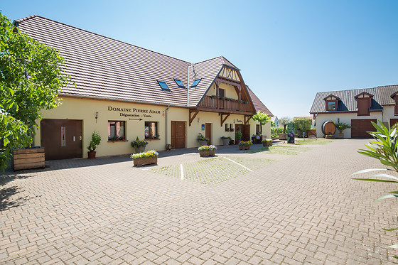 Dégustation en groupe au Domaine Pierre Adam à Ammerschwihr (68)