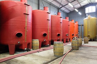 Atelier d'œnologie au Château Clos Mignon à Villeneuve-les-Bouloc (31)