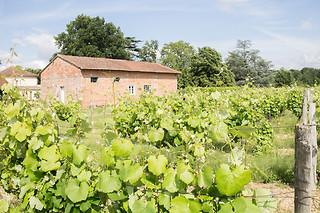 Atelier d'œnologie au Château Clos Mignon à Villeneuve-les-Bouloc (31)