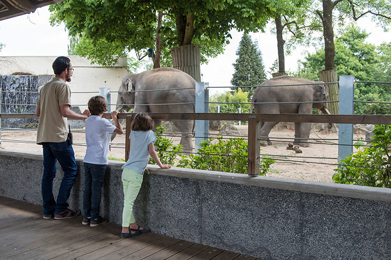 Entrée groupe au Zoo - Parc zoologique de Maubeuge - Maubeuge (59)