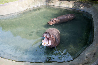 Entrée groupe au Zoo - Parc zoologique de Maubeuge - Maubeuge (59)