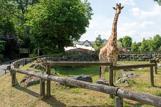 Entrée groupe au Zoo - Parc zoologique de Maubeuge - Maubeuge (59)