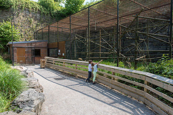Entrée groupe au Zoo - Parc zoologique de Maubeuge - Maubeuge (59)