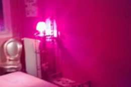 Lys beauté