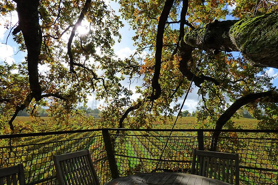 Les cabanes de la Romaningue - photo 4