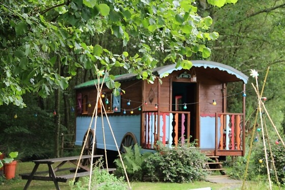 La Chaussée d'Olivet - photo 7