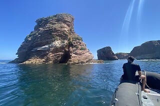Balade en bateau et location de paddle - Oceanboat64 - Saint-Jean-de-Luz (64)