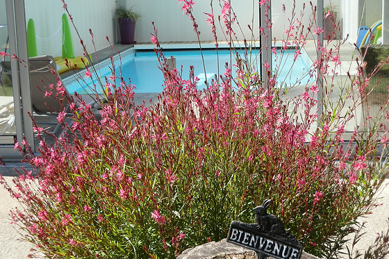 Domaine de Meigné - photo 15