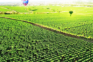 Vol en Montgolfière à Beaune (21) - Tarif Duo - Semaine et week-end