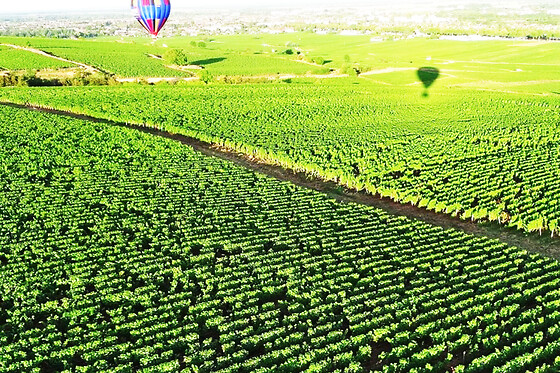 Vol en Montgolfière à Beaune (21) - Tarif Duo - Semaine et week-end