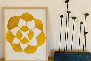 Atelier composition d'un herbier à Bondues (59)