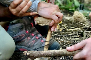 Stage de survie en milieu naturel en Belgique