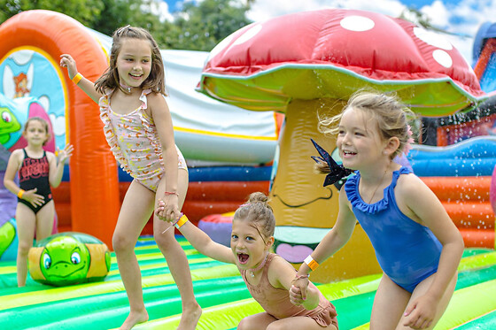 Billet pour le parc Bayeux Aventure (14)