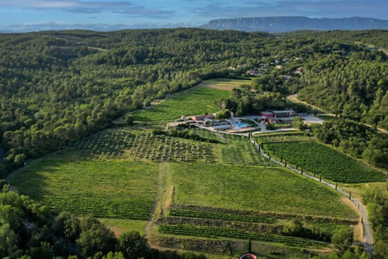Jeu de piste, visite du chai et dégustation de vin en duo - Château De La Roque Forcade - Peypin (13)