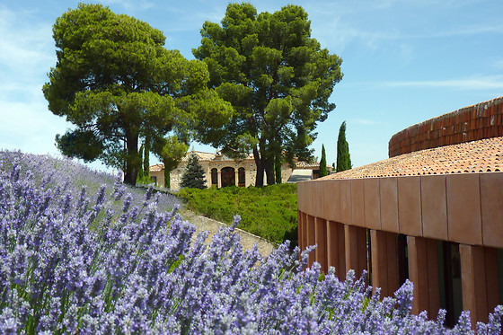 HOTEL CIGARRAL EL BOSQUE - photo 10