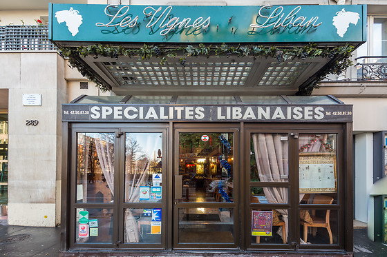 Les Vignes Du Liban - photo 20