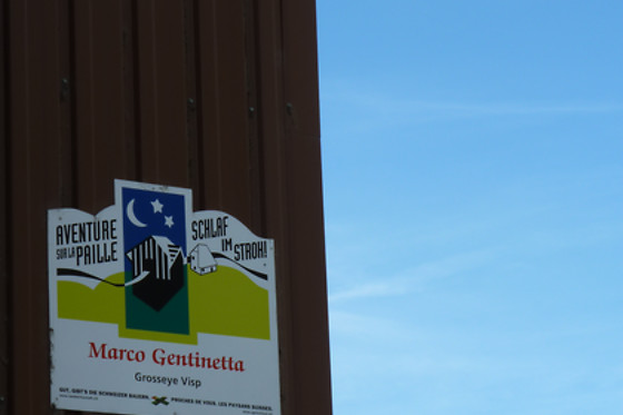 Zucht- und Reitstall Gentinetta - photo 5