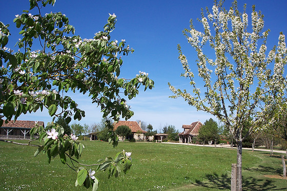 Domaine de la mouthe - photo 8