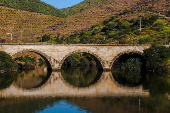 MANOS DO DOURO - photo 6