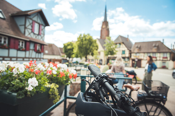 DETOUR ALSACE - photo 12