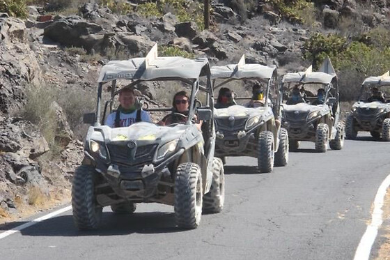 PARADISE BUGGY TENERIFE TOUR - photo 2