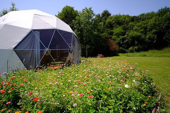 Glamping That's Life - photo 0