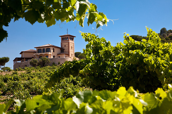 BODEGA  PIEDRA - photo 7