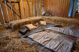 Eselhof Säge