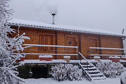Les Pins Nordiques