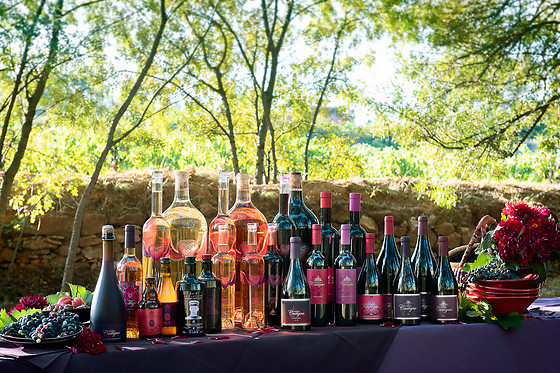 Un séjour gourmand pour 2 au Château & Village Castigno - Wine Hotel & Resort à Assignan (34)