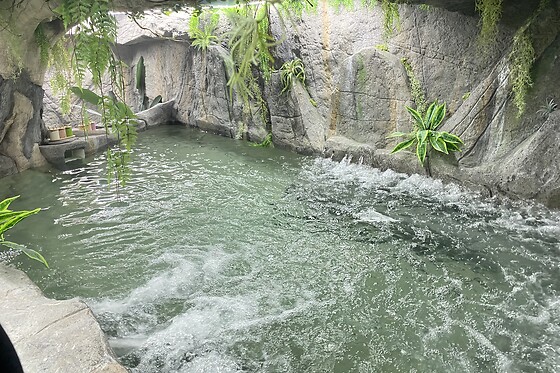 FUTUROTEL GRANADA SPA GARDEN - photo 4