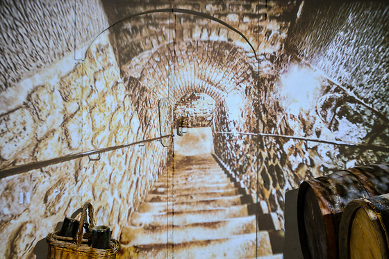 Visite d'un vignoble - Maison Guinot - Limoux (11)