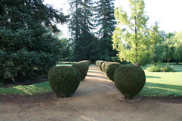 Château de Bournand