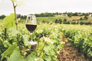 Séjour gourmand pour 2 au Château de Lantic à Martillac (33)