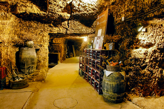 Visite de caves et cours d'œnologie pour un groupe aux Caves Ambacia à Amboise (37)