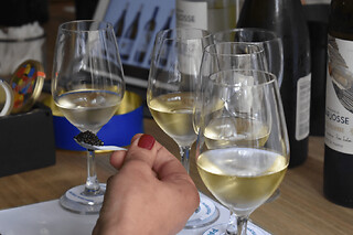 Atelier dégustation mets & vins d’exception à Bordeaux (33)