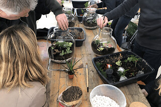Atelier "Je crée mon terrarium" à Paris 10ème