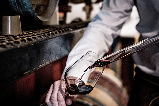 Initiation à la dégustation des vins de Bordeaux (33)