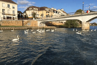 Permis Rivière à Lagny-sur-Marne (77) - Rivière - Week-end