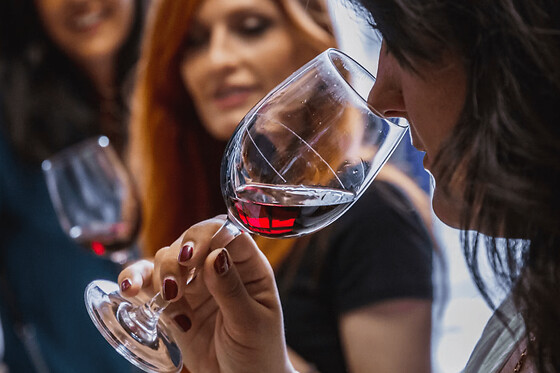 Atelier dégustation de vins vieux millésimes à Bordeaux (33)