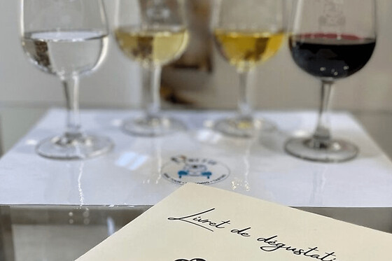 Initiation et cours de dégustation de vins de Bordeaux (33)
