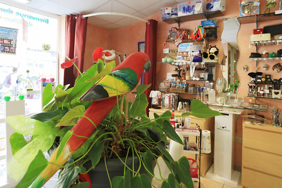 L'Esthetique Spa - photo 0