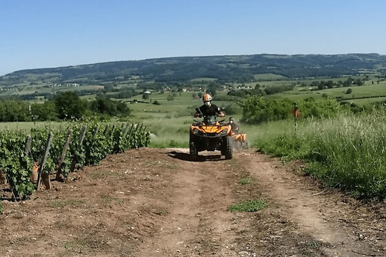 Randonnée Quad à Couches dans les vignobles - Randonnée - 1 heure