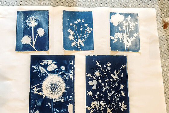 Atelier découverte Cyanotype à Paris (20)
