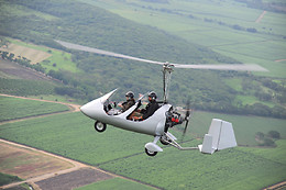 Les Volatiles
