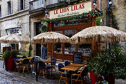 Le Lion Lilas