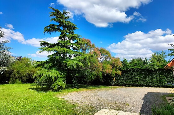 Le jardin des oiseaux - photo 4